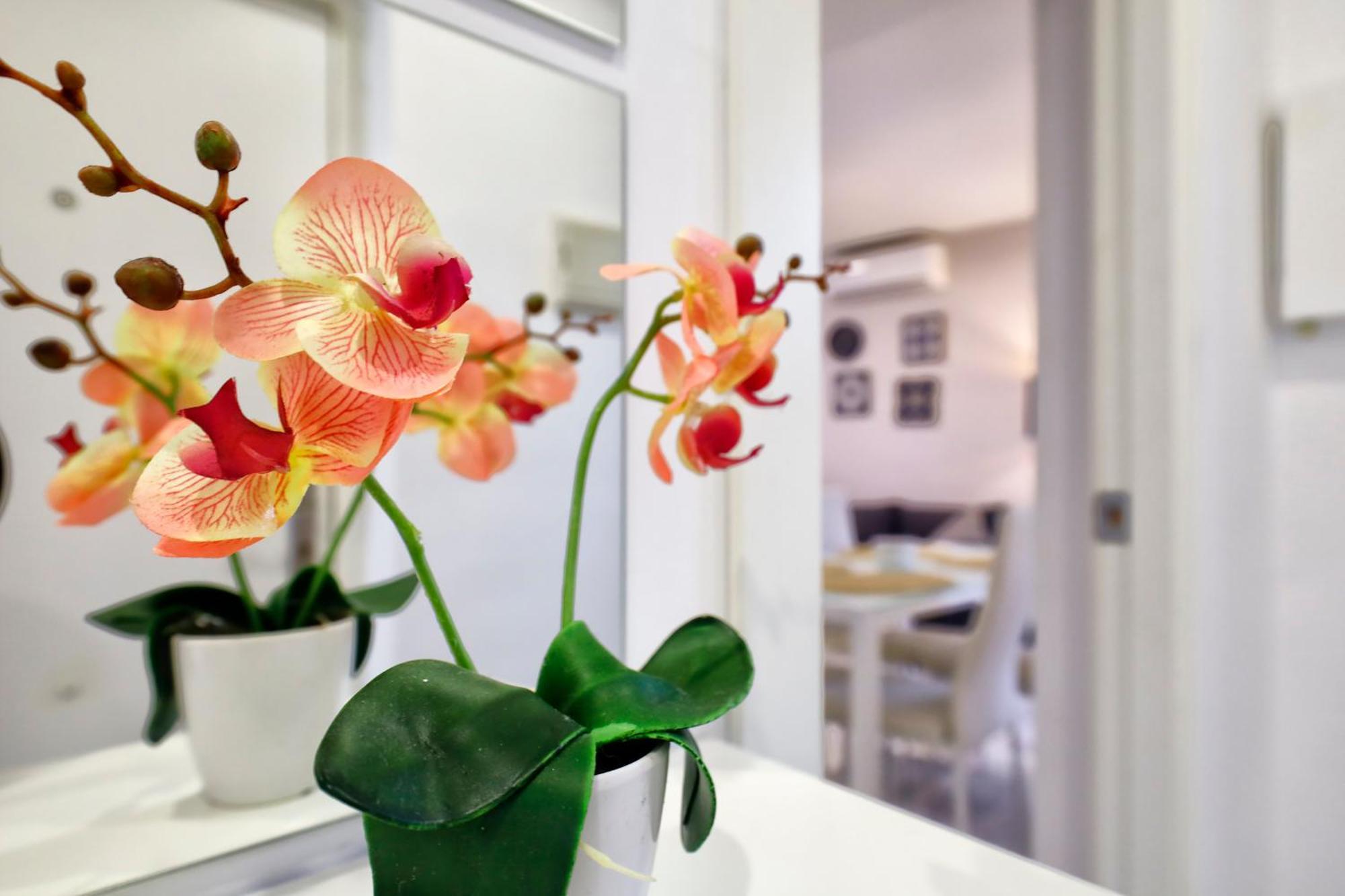 Encanto En La Juderia: Apartamento Con Patio Córdoba Kültér fotó
